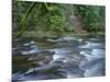 OR, Mount Hood NF. Salmon-Huckleberry Wilderness, Salmon River-John Barger-Mounted Photographic Print