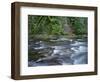 OR, Mount Hood NF. Salmon-Huckleberry Wilderness, Salmon River-John Barger-Framed Photographic Print