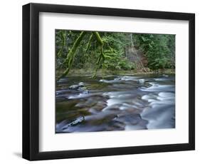 OR, Mount Hood NF. Salmon-Huckleberry Wilderness, Salmon River-John Barger-Framed Photographic Print