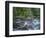 OR, Mount Hood NF. Salmon-Huckleberry Wilderness, Salmon River-John Barger-Framed Photographic Print