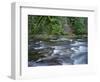 OR, Mount Hood NF. Salmon-Huckleberry Wilderness, Salmon River-John Barger-Framed Photographic Print