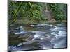 OR, Mount Hood NF. Salmon-Huckleberry Wilderness, Salmon River-John Barger-Mounted Photographic Print