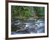 OR, Mount Hood NF. Salmon-Huckleberry Wilderness, Salmon River-John Barger-Framed Photographic Print