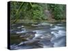 OR, Mount Hood NF. Salmon-Huckleberry Wilderness, Salmon River-John Barger-Stretched Canvas