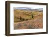 OR, Redmond, Bend, Mitchell. Series of low clay hills striped in colorful bands of minerals-Emily Wilson-Framed Photographic Print