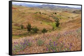 OR, Redmond, Bend, Mitchell. Series of low clay hills striped in colorful bands of minerals-Emily Wilson-Framed Stretched Canvas