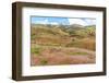 OR, Redmond, Bend, Mitchell. Series of low clay hills striped in colorful bands of minerals-Emily Wilson-Framed Photographic Print