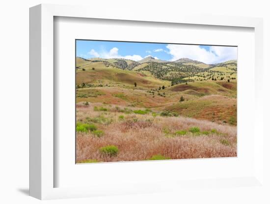 OR, Redmond, Bend, Mitchell. Series of low clay hills striped in colorful bands of minerals-Emily Wilson-Framed Photographic Print