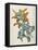 Or Salvia Aurea Golden Sage or Sandsalie-William Curtis-Framed Stretched Canvas