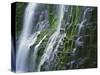 OR, Willamette NF. Three Sisters Wilderness, Lower Proxy Falls displays multiple cascades-John Barger-Stretched Canvas