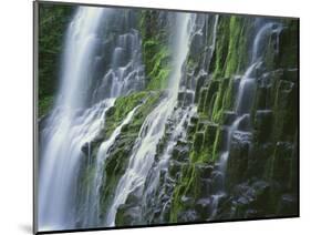 OR, Willamette NF. Three Sisters Wilderness, Lower Proxy Falls displays multiple cascades-John Barger-Mounted Photographic Print