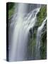 OR, Willamette NF. Three Sisters Wilderness, Lower Proxy Falls displays multiple cascades-John Barger-Stretched Canvas