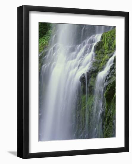 OR, Willamette NF. Three Sisters Wilderness, Lower Proxy Falls displays multiple cascades-John Barger-Framed Photographic Print