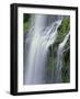 OR, Willamette NF. Three Sisters Wilderness, Lower Proxy Falls displays multiple cascades-John Barger-Framed Photographic Print