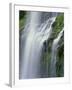 OR, Willamette NF. Three Sisters Wilderness, Lower Proxy Falls displays multiple cascades-John Barger-Framed Photographic Print