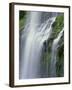 OR, Willamette NF. Three Sisters Wilderness, Lower Proxy Falls displays multiple cascades-John Barger-Framed Photographic Print