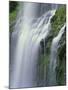 OR, Willamette NF. Three Sisters Wilderness, Lower Proxy Falls displays multiple cascades-John Barger-Mounted Photographic Print