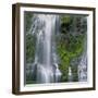 OR, Willamette NF. Three Sisters Wilderness, Lower Proxy Falls displays multiple cascades-John Barger-Framed Photographic Print