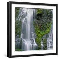 OR, Willamette NF. Three Sisters Wilderness, Lower Proxy Falls displays multiple cascades-John Barger-Framed Photographic Print