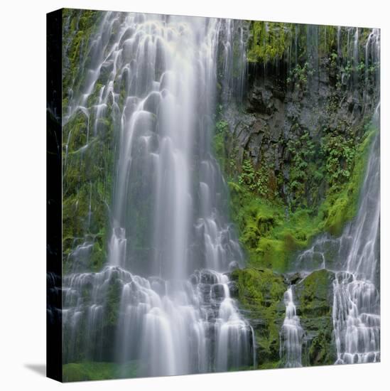 OR, Willamette NF. Three Sisters Wilderness, Lower Proxy Falls displays multiple cascades-John Barger-Stretched Canvas