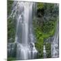 OR, Willamette NF. Three Sisters Wilderness, Lower Proxy Falls displays multiple cascades-John Barger-Mounted Photographic Print