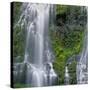 OR, Willamette NF. Three Sisters Wilderness, Lower Proxy Falls displays multiple cascades-John Barger-Stretched Canvas