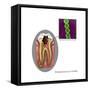 Oral Infection of Streptococcus Oralis-Gwen Shockey-Framed Stretched Canvas