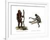 Orang-Outang, 1860-null-Framed Giclee Print