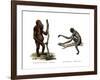 Orang-Outang, 1860-null-Framed Giclee Print