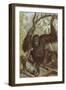 Orang-Utan (Lydeker)-null-Framed Art Print