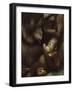 Orang Utan Mother and Baby, Pongo Pygamaeus, in Captivity, Singapore Zoo, Singapore-Ann & Steve Toon-Framed Photographic Print