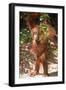 Orang-Utan Plays with Fern-null-Framed Photographic Print
