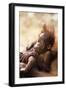 Orang-Utan (Pongo Pygmaeus) Holding Young, Close-Up, Gunung Leuser National Park, Indonesia-Anup Shah-Framed Photographic Print