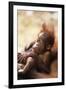 Orang-Utan (Pongo Pygmaeus) Holding Young, Close-Up, Gunung Leuser National Park, Indonesia-Anup Shah-Framed Photographic Print