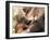 Orang-Utan (Pongo Pygmaeus), Mother and Young, in Captivity, Apenheul Zoo, Netherlands (Holland)-Thorsten Milse-Framed Photographic Print