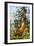 Orang-Utan Young Hanging in Tree and Calling-null-Framed Photographic Print