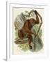 Orang-Utan-null-Framed Art Print