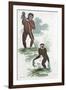 Orang Utang and Gibbon, 1822-null-Framed Giclee Print