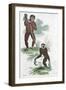 Orang Utang and Gibbon, 1822-null-Framed Giclee Print