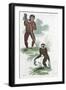 Orang Utang and Gibbon, 1822-null-Framed Giclee Print