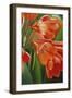 Orange 3-Graeme Stevenson-Framed Giclee Print