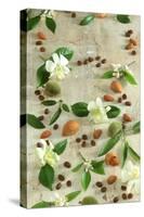 Orange and Almond Blossom, Coffee Beans and Almonds-Jocelyn Demeurs-Stretched Canvas