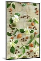 Orange and Almond Blossom, Coffee Beans and Almonds-Jocelyn Demeurs-Mounted Photographic Print