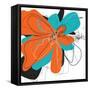 Orange and Aqua-Jan Weiss-Framed Stretched Canvas