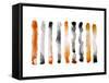 Orange and Black-Nancy LaBerge Muren-Framed Stretched Canvas