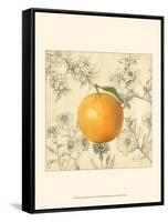 Orange and Botanicals-Megan Meagher-Framed Stretched Canvas