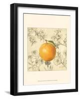 Orange and Botanicals-Megan Meagher-Framed Art Print