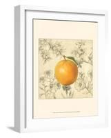 Orange and Botanicals-Megan Meagher-Framed Art Print