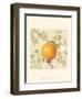 Orange and Botanicals-Megan Meagher-Framed Art Print