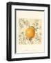 Orange and Botanicals-Megan Meagher-Framed Art Print